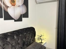 Apartman Sneznik, готель у місті Vrnjačka Banja