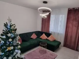 Apartament pe pietonala nr1