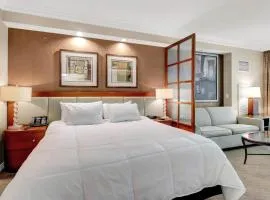 Mgm 1 Bedroom Balcony And Or Studio Luxury Suites