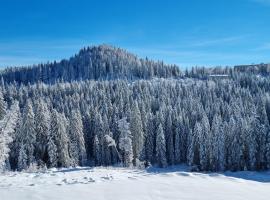 Apartment A27 - Aparthotel Vučko, hotel amb jacuzzi a Jahorina