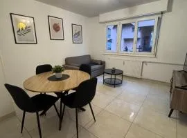 Appartement centre Colmar