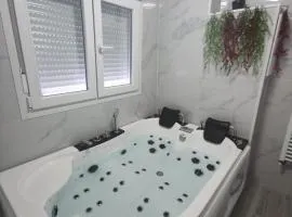 apartamento con jacuzzi el rincon de las delicias