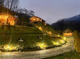 Chalets du BF, chalet i Sighişoara