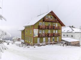 Robert Hotel, hotel en Dragobrat