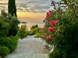 Villa Athena Skiathos