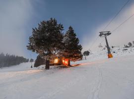 Panorama Krvavec Ski-in, Ski-out, počitniška hiška v Cerkljah na Gorenjskem