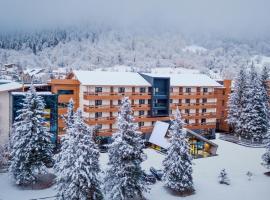 Bakuriani Inn, hotel u gradu 'Bakuriani'