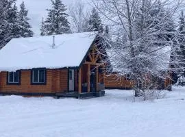 Log lofted rustic cabin in woods