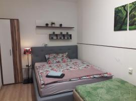 Apartment AP 1 im Zentrum Steyr, BESTROOMS eU, хотел в Щайр