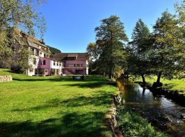 Logis Hotel Des Vosges, hotell i Sewen