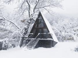 Wonderwood Borjomi Cottage, hotel sa Borjomi