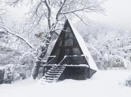 Wonderwood Borjomi Cottage