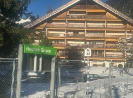 Newly Renovated Villars sur Ollon apartment for 4 with 2 double beds and balcony with 75m to ski train station, hotel em Villars-sur-Ollon