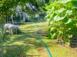 Bird Paradise & mini farm