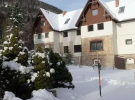 Alpine retreat 2BR Lux Apartment Villa Wellspacher