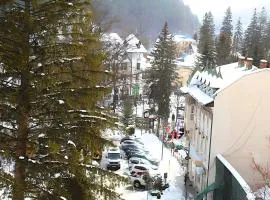 Central Park View Sinaia