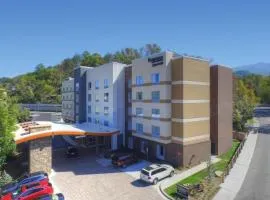 Fairfield Inn & Suites by Marriott Gatlinburg Downtown