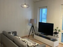 40m2 in the best location in Turku