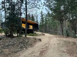 Hermosa casa en el bosque