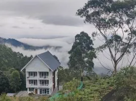 Misty Cabin Valley View