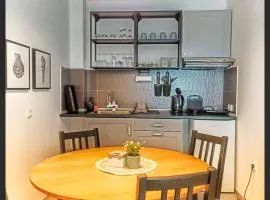 Apartman Fonte Vrnjačka Banja