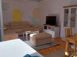 Apartman Pejčić