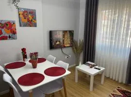 Beratinus Apartment in Berat Center