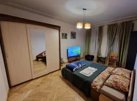 Kaunas Center Apartment