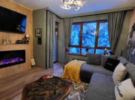 Pinewood ANG premium luxurious apartment 15: Borovets'te bir spa oteli