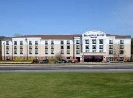 SpringHill Suites by Marriott Lynchburg Airport/University Area