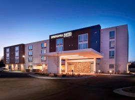 SpringHill Suites by Marriott East Lansing University Area, Lansing Area, hotel povoľujúci pobyt s domácimi zvieratami v destinácii East Lansing