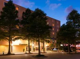 Sheraton Hotel Metairie New Orleans