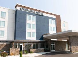 SpringHill Suites by Marriott South Bend Notre Dame Area – hotel w mieście South Bend