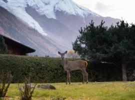 Chalet la Pagode, vue Mont-Blanc et jardin privé, chalé alpino em Chamonix-Mont-Blanc