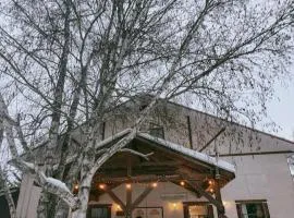 Alpine Meadows Lodge