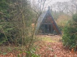 A-huis in het bos van Drenthe, hotelli kohteessa Norg