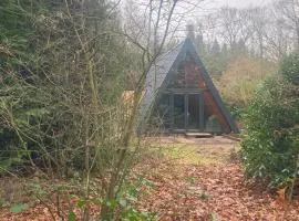 A-huis in het bos van Drenthe