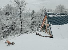 A-frame Forest Nest, fjallaskáli í Cerklje na Gorenjskem