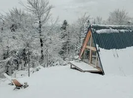 A-frame Forest Nest