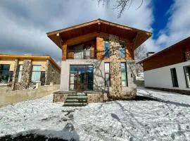 Villa on the Edge of the Forest