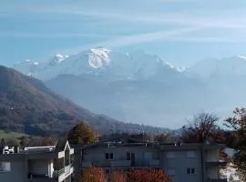 Appartement récent au pied du montblanc