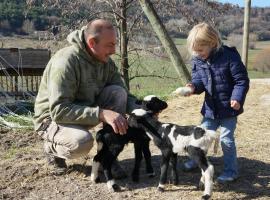 Domaine du Bas Chalus, farm stay in Forcalquier