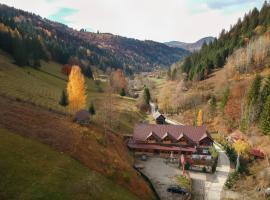 Pensiunea Vânătorul, hotell med parkering i Dămuc