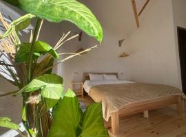 "White House Nakani" - Guesthouse near the centre, homestay di Mestia