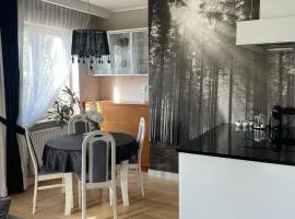 Apartament La Bella klimatyzacja, garaż podziemny