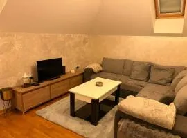 Panajotovic Apartman