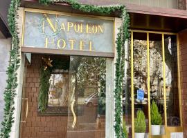 Hotel Napoleon, hotel din Rimini