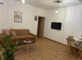 Apartmani Stefanos Zelenika