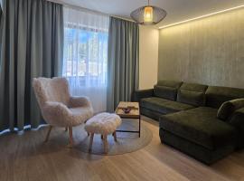 포이아나 브라쇼브에 위치한 샬레 Massif Grand Chalet Apartments