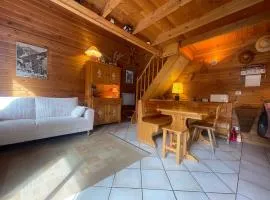 Chalet paisible sud, proche pistes et randonnées - FR-1-624-176